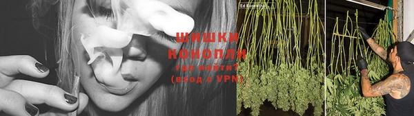 гашик Елабуга