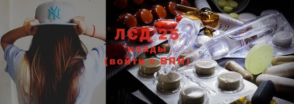 гашик Елабуга