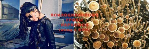 гашик Елабуга