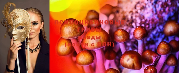 герыч Ельня