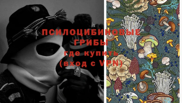 гашик Елабуга