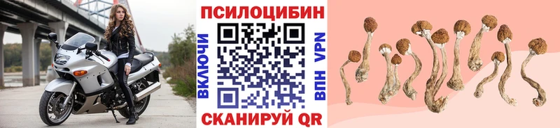 blacksprut онион  Подольск  Псилоцибиновые грибы ЛСД  закладки 