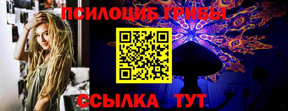 Подольск  Галлюциногенные грибы GOLDEN TEACHER  Галлюциногенные грибы Magic Shrooms  Вход с VPN 