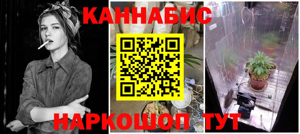 Канабис конопля Подольск